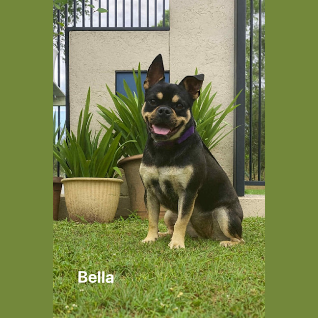 Photo of Bella