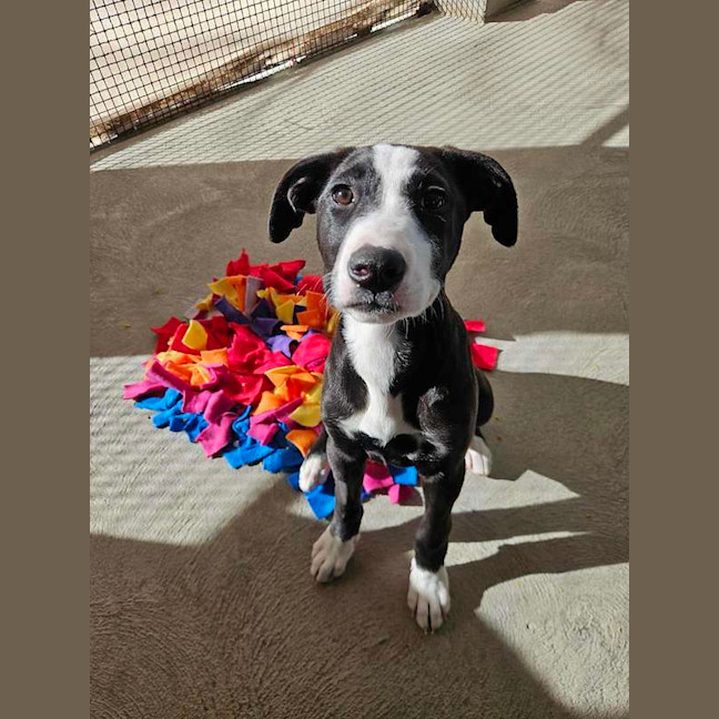 Photo of Buttons