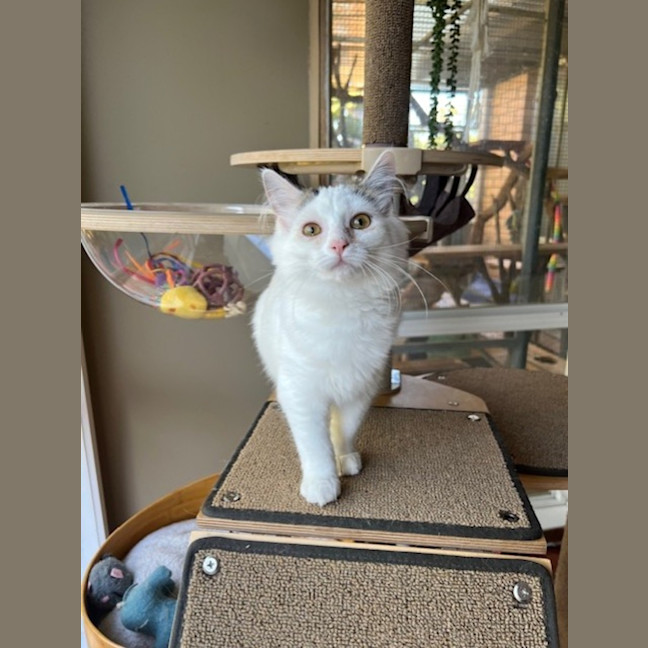 Photo of Malt And Caramello