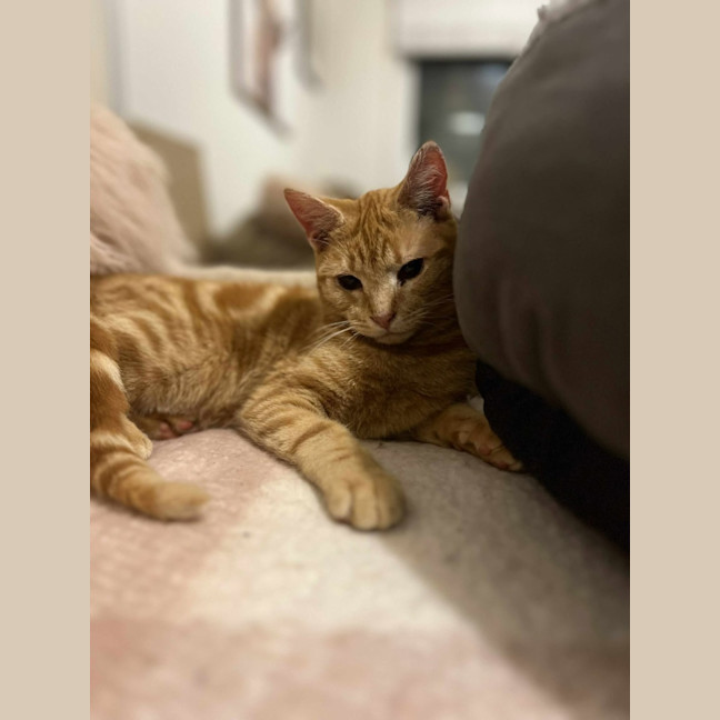 Photo of Gigi   Located In Frankston