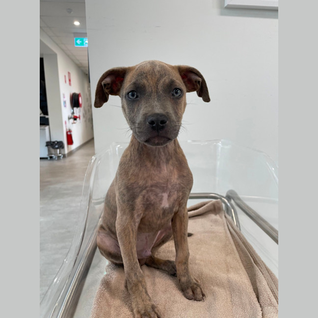 Photo of Zeus
