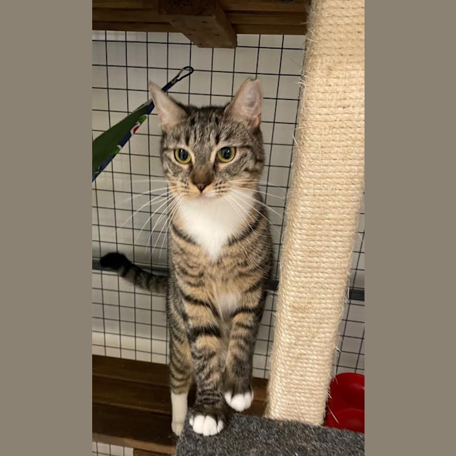 Photo of Prue & Trude