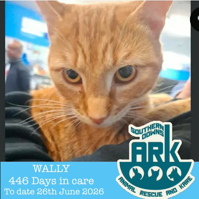 Photo of Wally