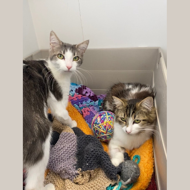 Photo of Tessalyn And Cordelia