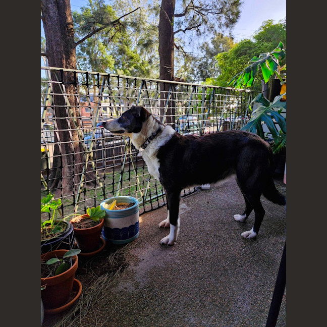 Photo of Winnebago 