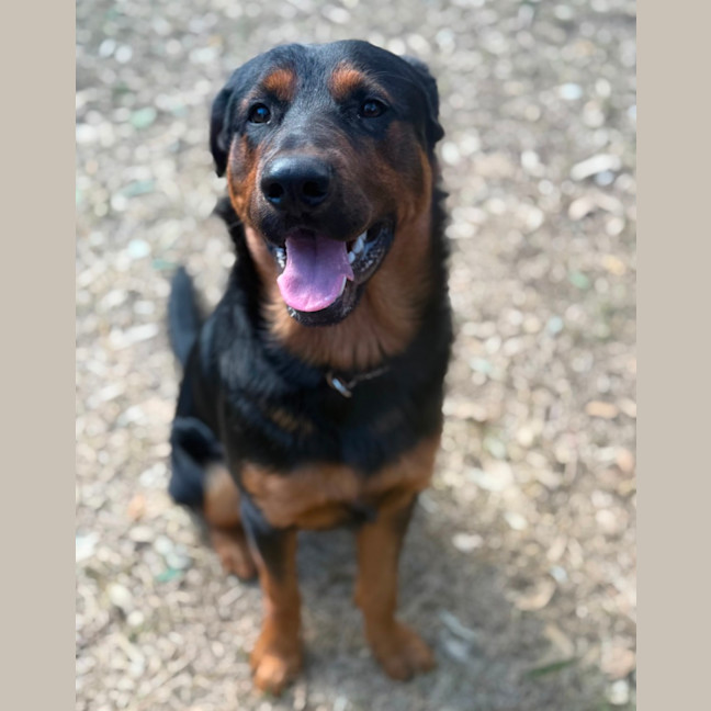 Photo of Roman