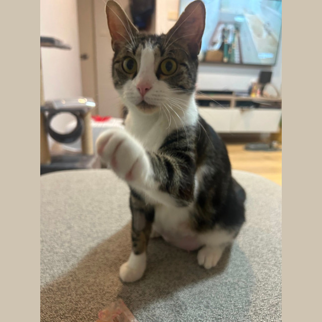 Photo of Blair Waldorf