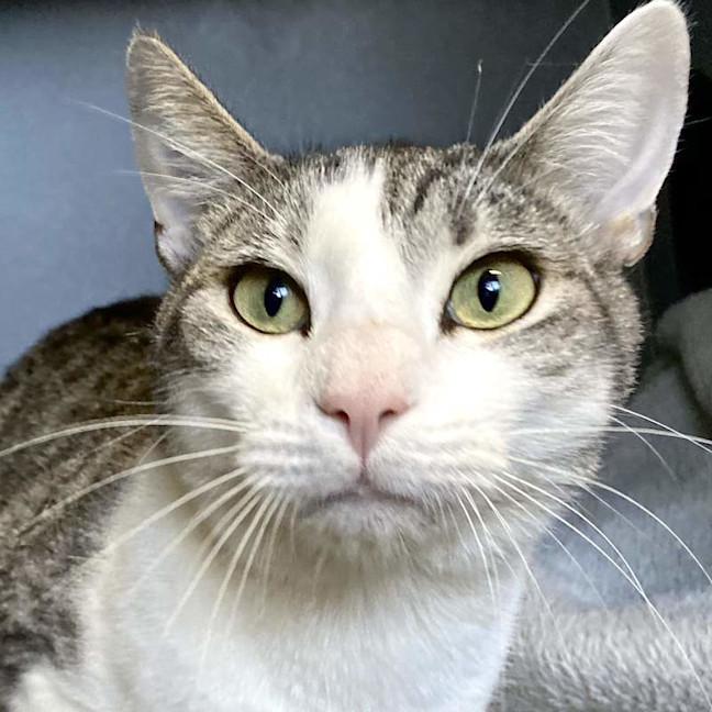 Photo of Lucky