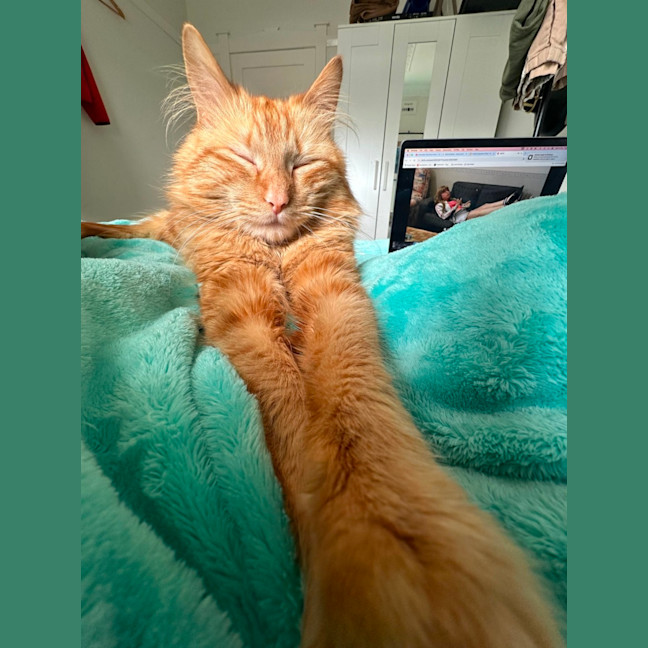 Photo of Flynn