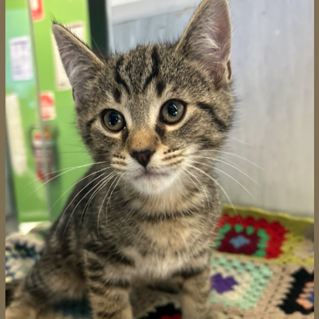 Photo of Mr. Wiggle