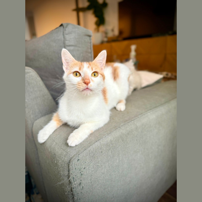 Photo of Xena: Warrior Princess