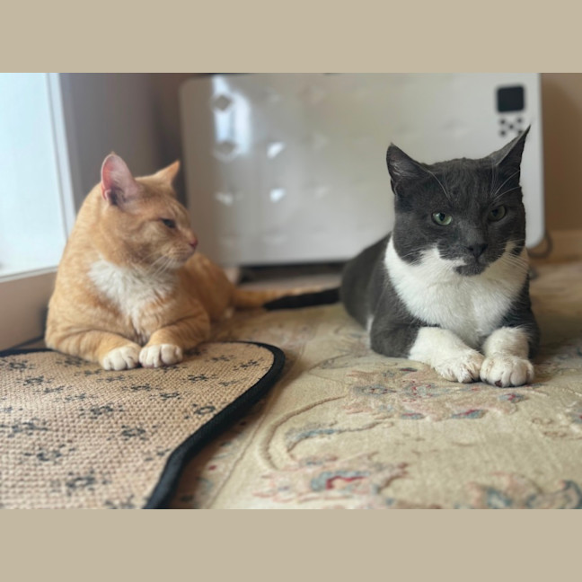 Photo of Christian Grey