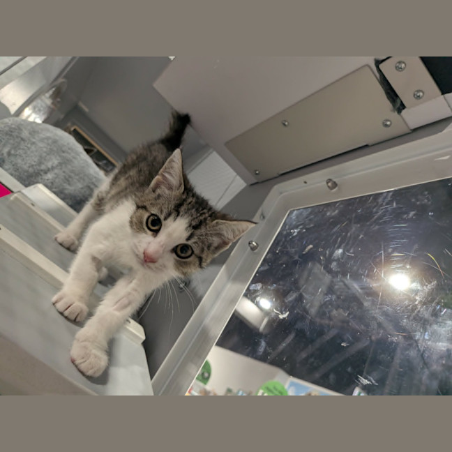 Photo of Molly