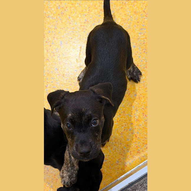 Photo of Spike