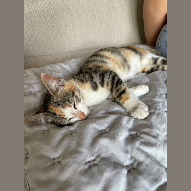 Photo of Moomoo & Bonbon