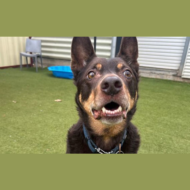 Photo of Mr Smiggles