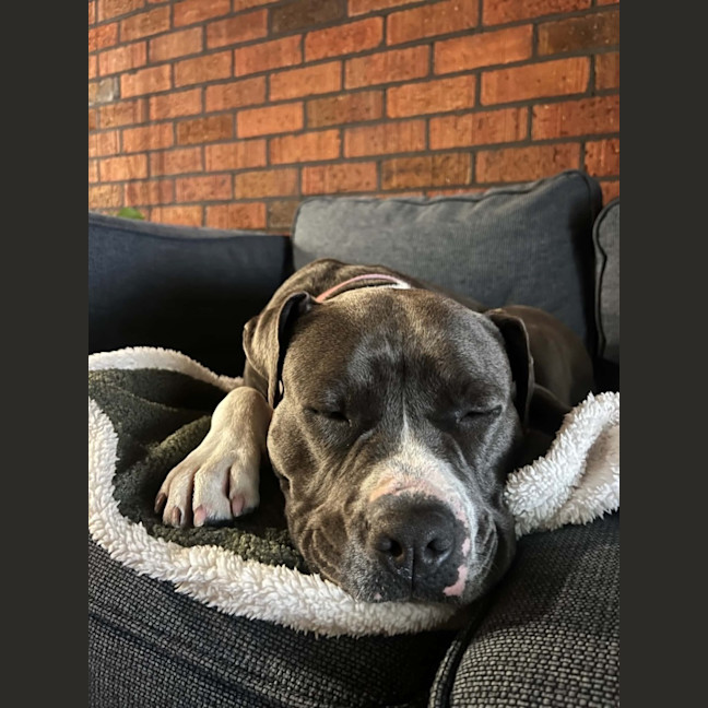 Photo of Mahlee