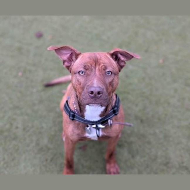 Photo of Roxy