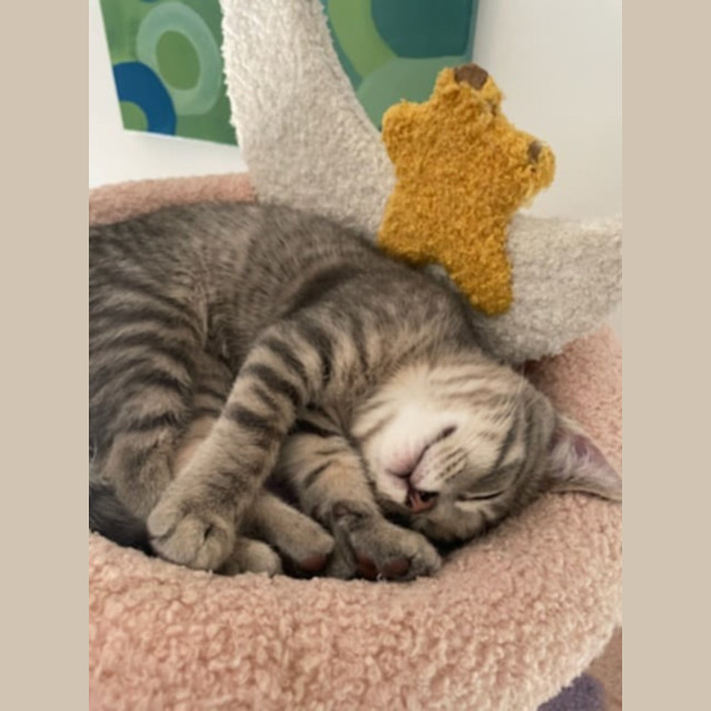 Photo of Pumpkin & Malcolm