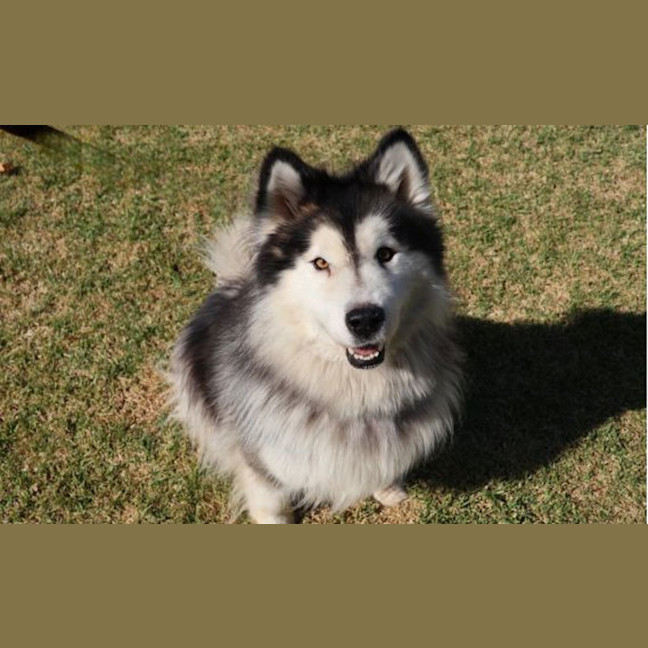 Photo of Bella