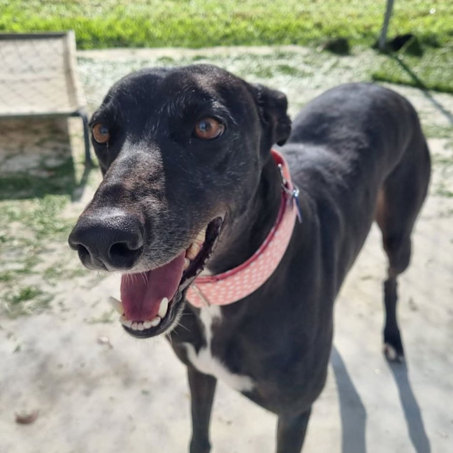 Photo of Queen Ester