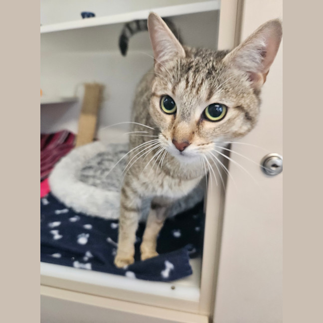Photo of Ebbie