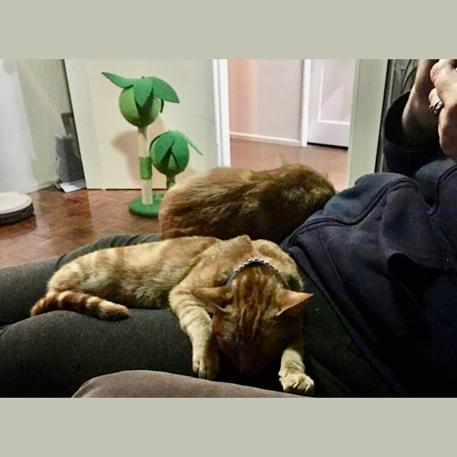 Photo of Harry And Henry