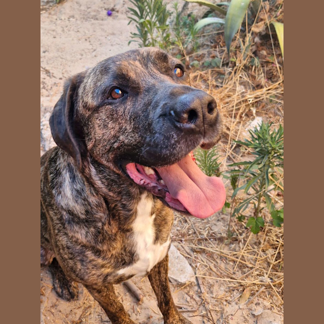 Photo of Luca And Tinka 