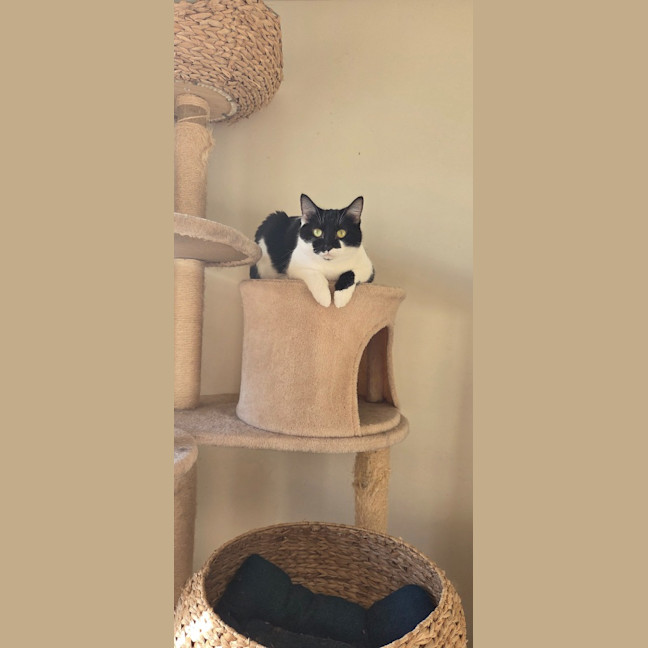 Photo of Angel
