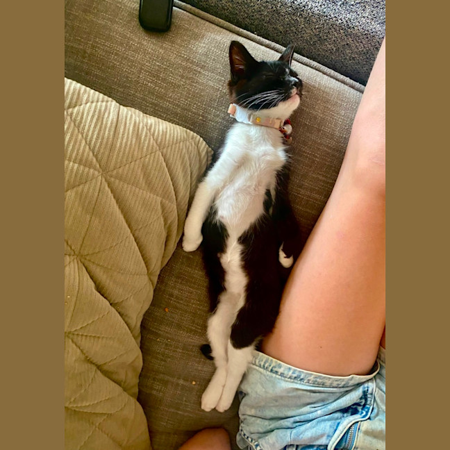 Photo of Maggie ‘Magpie’