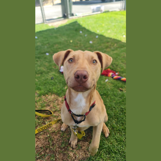 Photo of Ransom