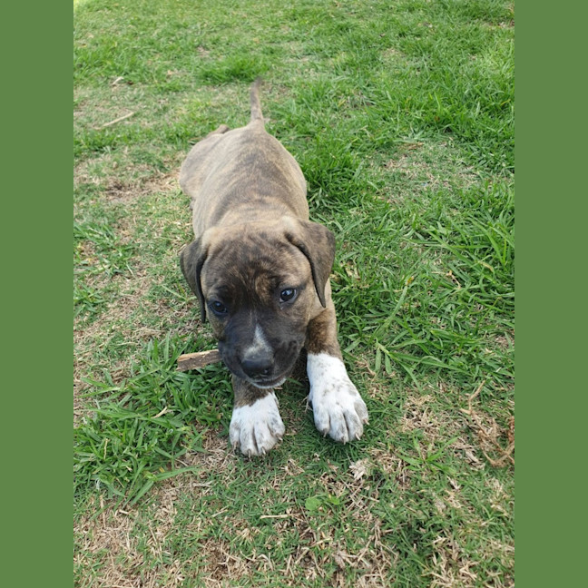 Photo of Diamond