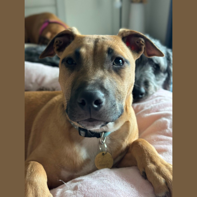 Photo of Sassypants