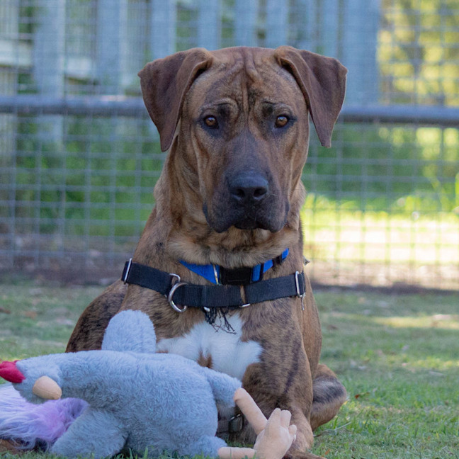 Photo of Ragnar