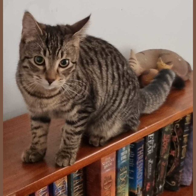 Photo of Holly