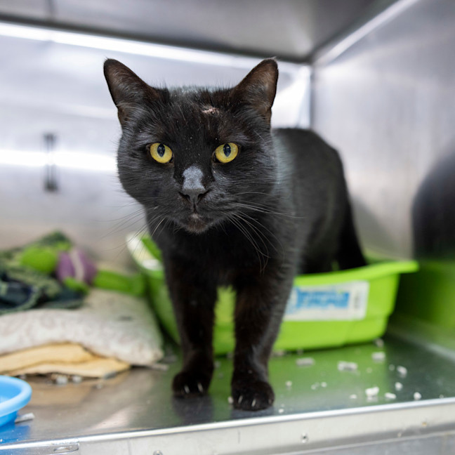 Photo of Mr Butterbean