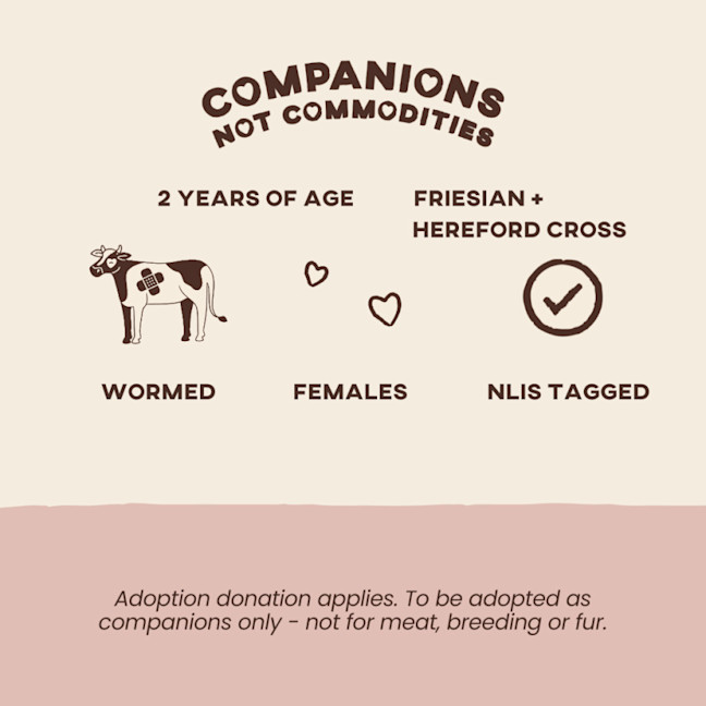 Photo of Bessie & Beatrice