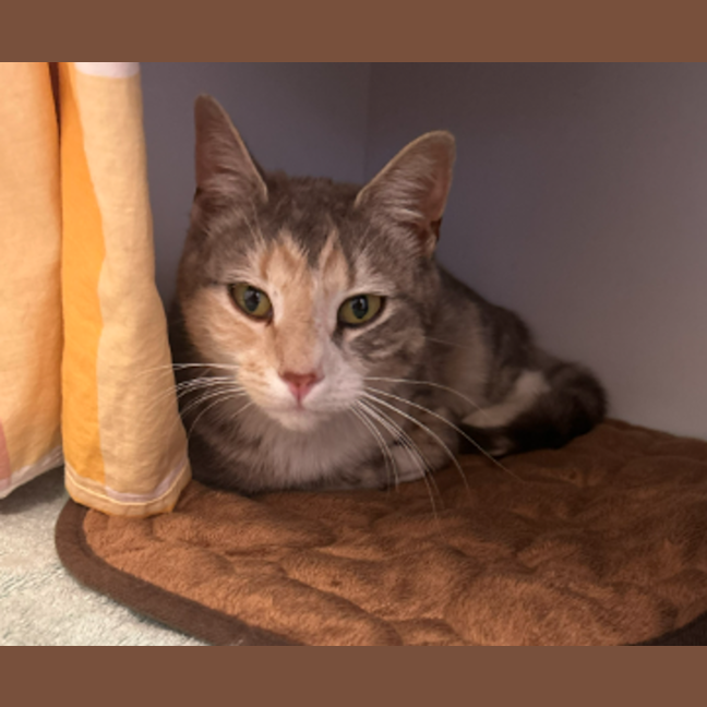 Photo of Aloha