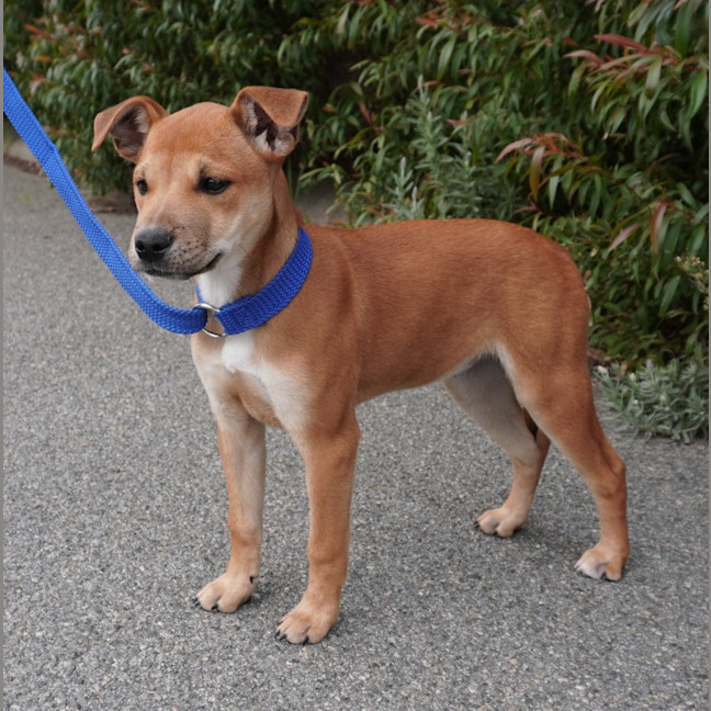 Photo of Ginger And Rodger