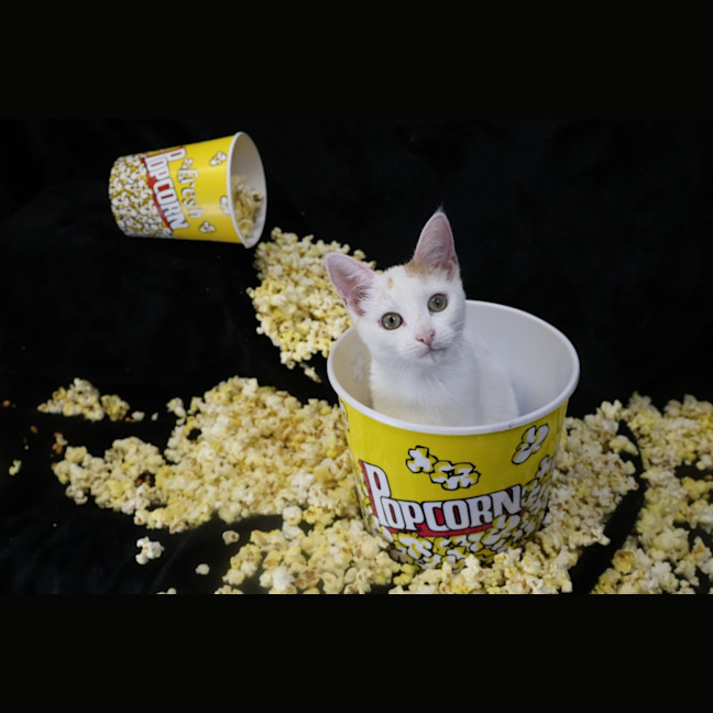 Photo of Katinka