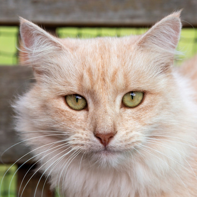 Photo of Ebony & Ivory