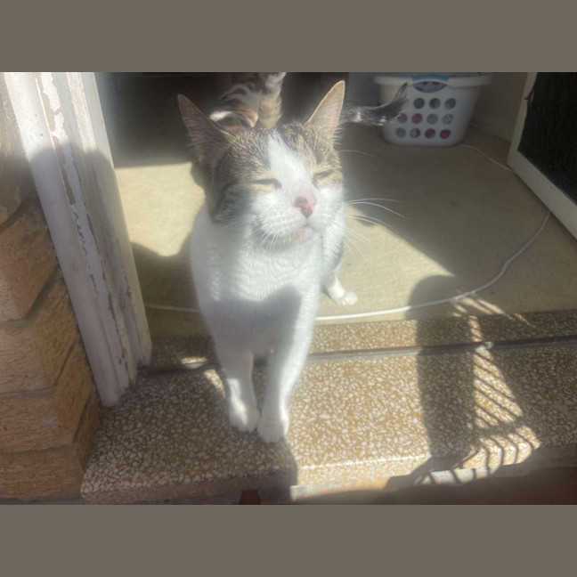 Photo of Shelly And Sandy