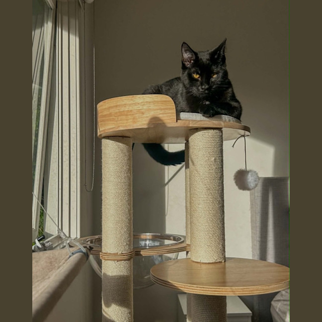 Photo of Bruce