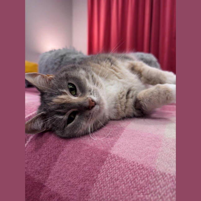 Photo of Susan Uffelman