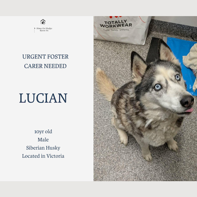 Photo of Lucian