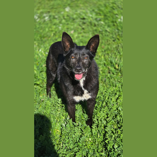 Photo of Matilda