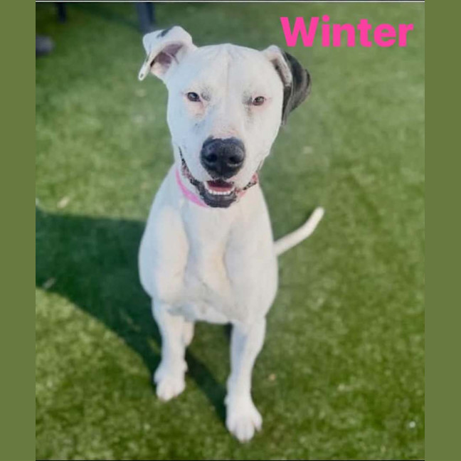 Photo of Winter