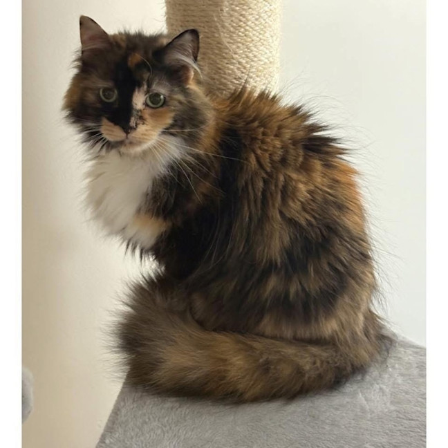 Photo of 13038   Monika