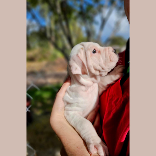Photo of Zena