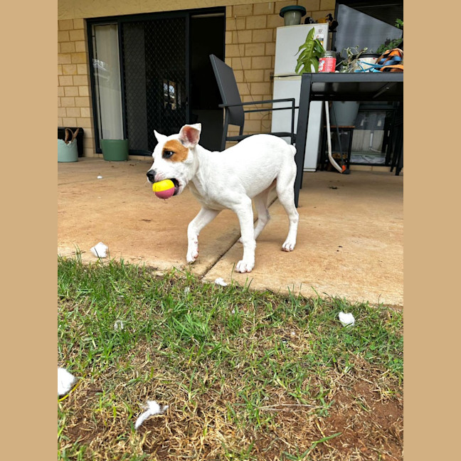 Photo of Molly